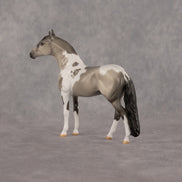 Amble OOAK Chip Andalusian by Dawn Quick LHS26