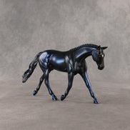 Democracy LE-5 Pebble Warmblood by Enrique Duarte WC26