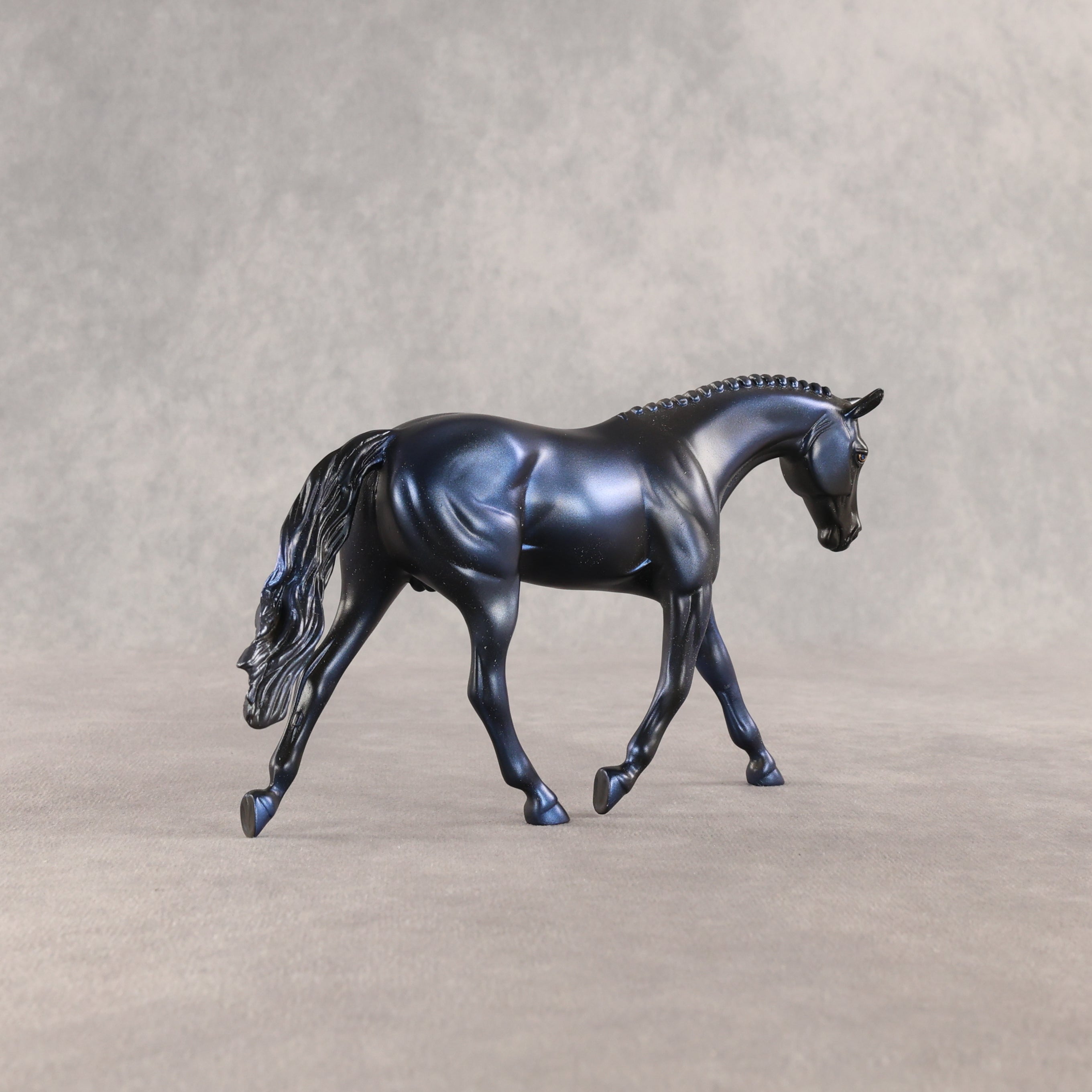 Democracy LE-5 Pebble Warmblood by Enrique Duarte WC26