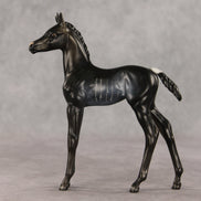 Amiira OOAK FCM Arabian Foal by Anna Rieck VV26