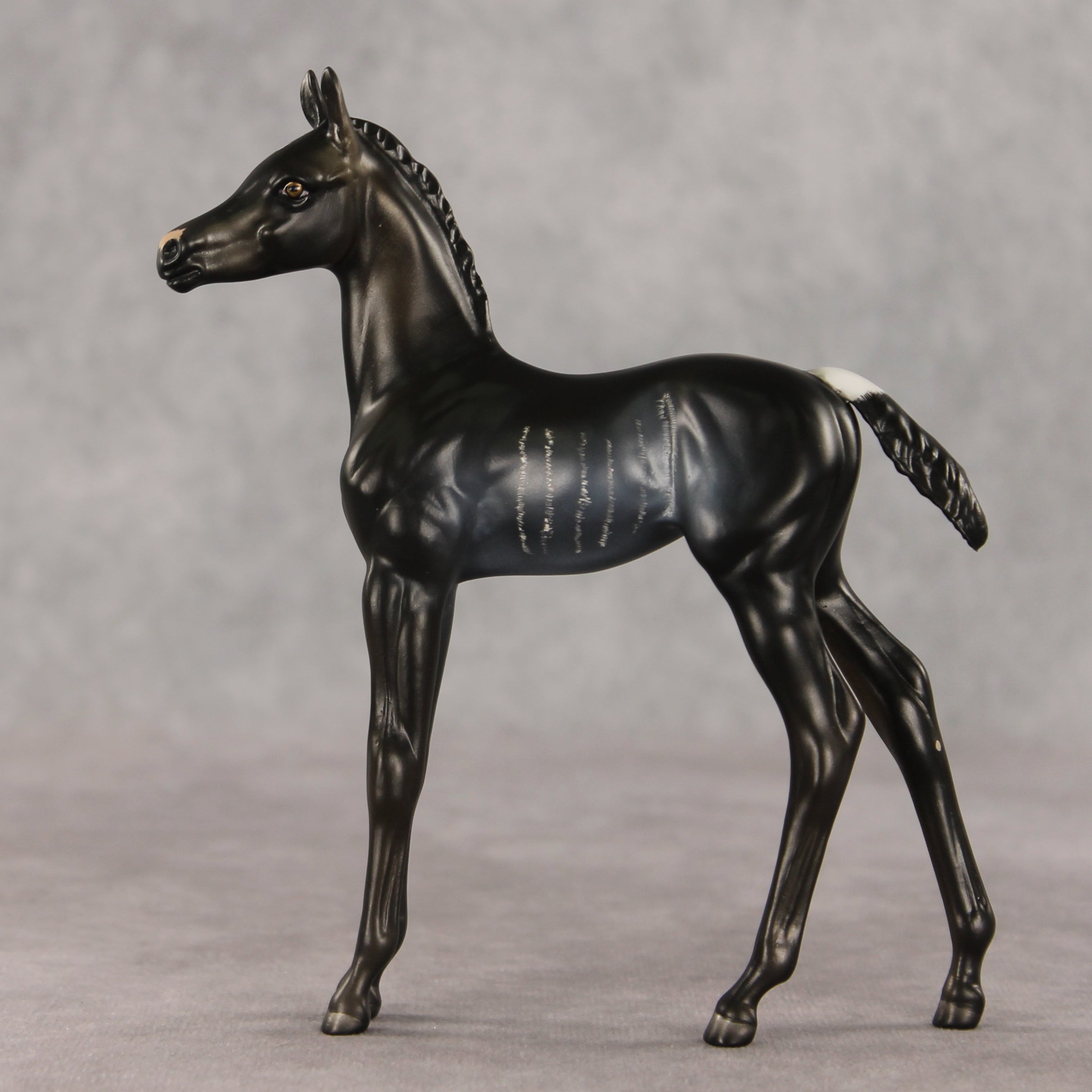 Amiira OOAK FCM Arabian Foal by Anna Rieck VV26