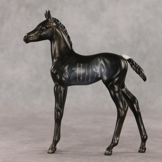 Amiira OOAK FCM Arabian Foal by Anna Rieck VV26