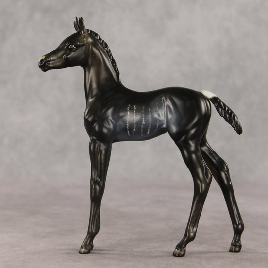 Amiira OOAK FCM Arabian Foal by Anna Rieck VV26