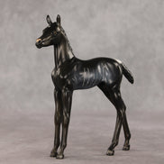 Amiira OOAK FCM Arabian Foal by Anna Rieck VV26