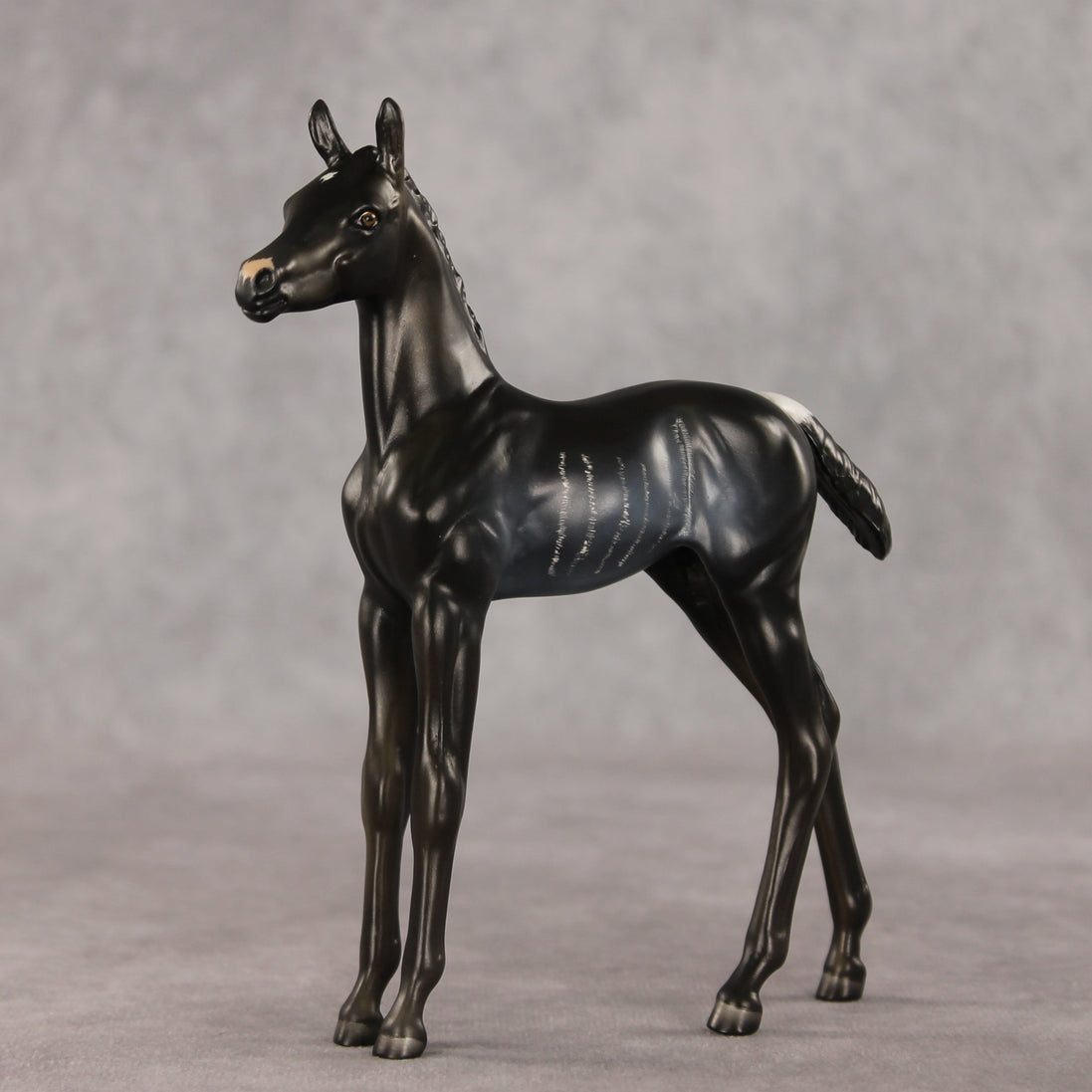 Amiira OOAK FCM Arabian Foal by Anna Rieck VV26