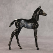 Amiira OOAK FCM Arabian Foal by Anna Rieck VV26