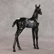 Amiira OOAK FCM Arabian Foal by Anna Rieck VV26