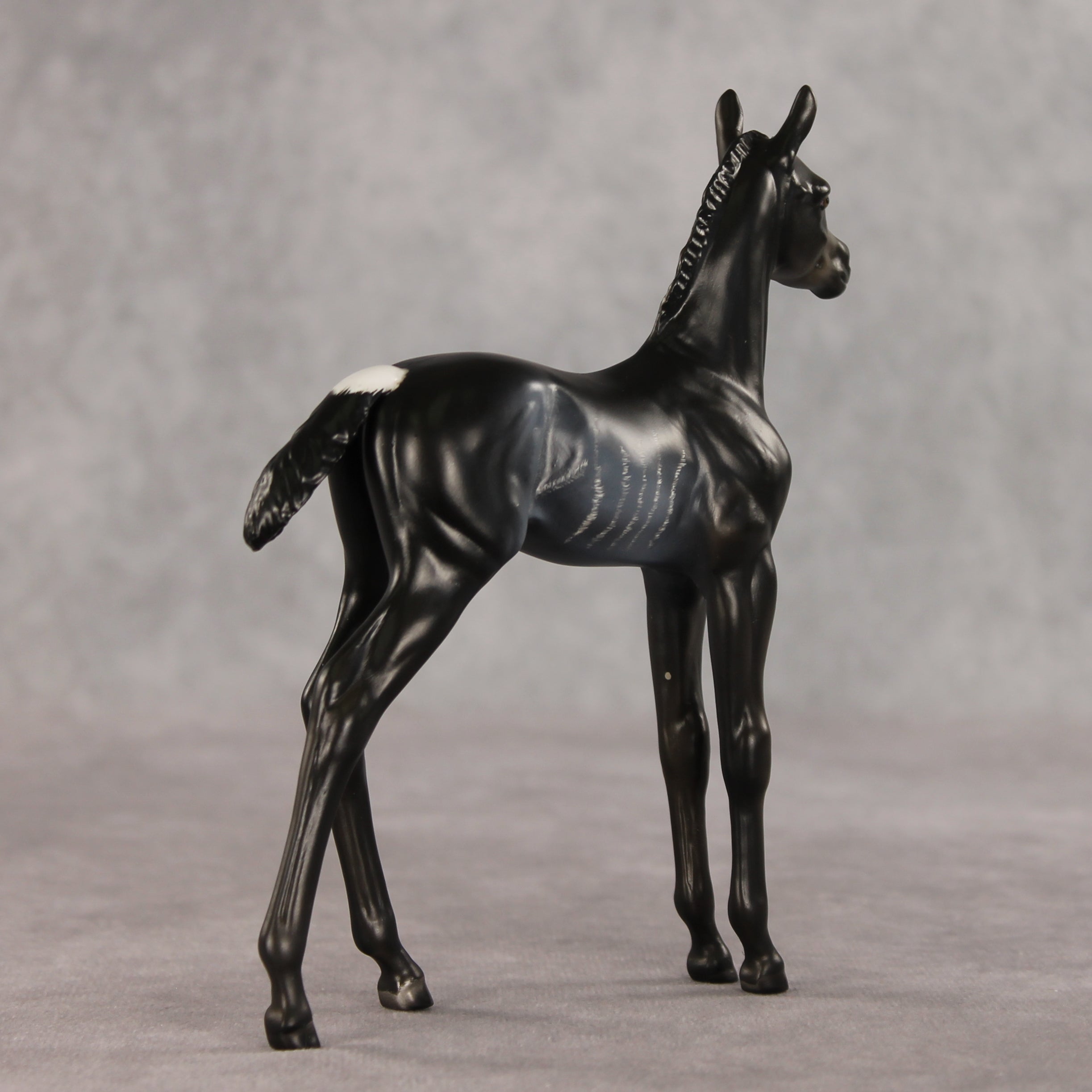 Amiira OOAK FCM Arabian Foal by Anna Rieck VV26