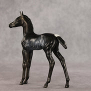 Amiira OOAK FCM Arabian Foal by Anna Rieck VV26