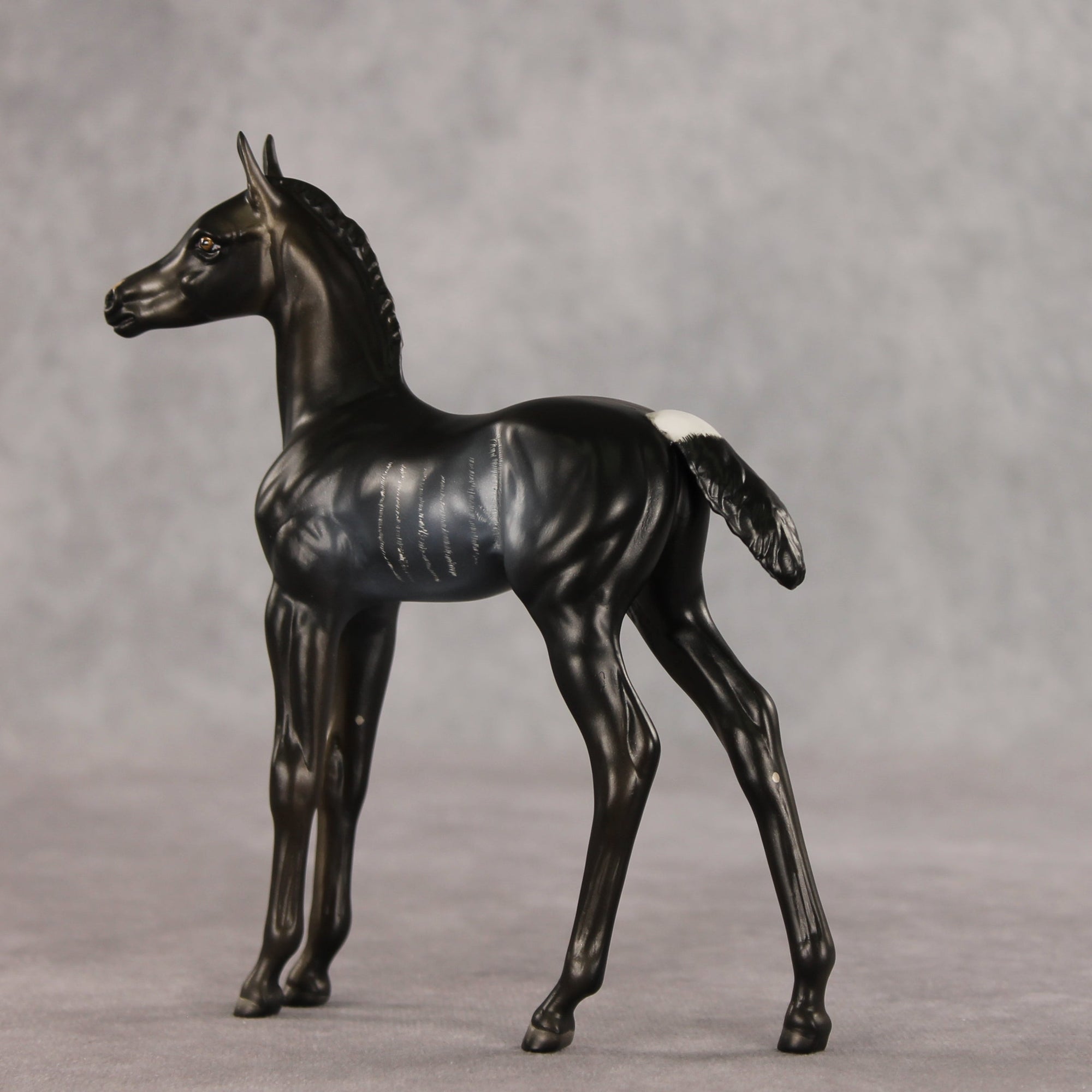 Amiira OOAK FCM Arabian Foal by Anna Rieck VV26