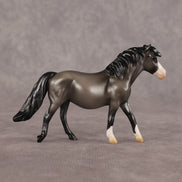 Amunet OOAK Chip Pony by Enrique Duarte WC26