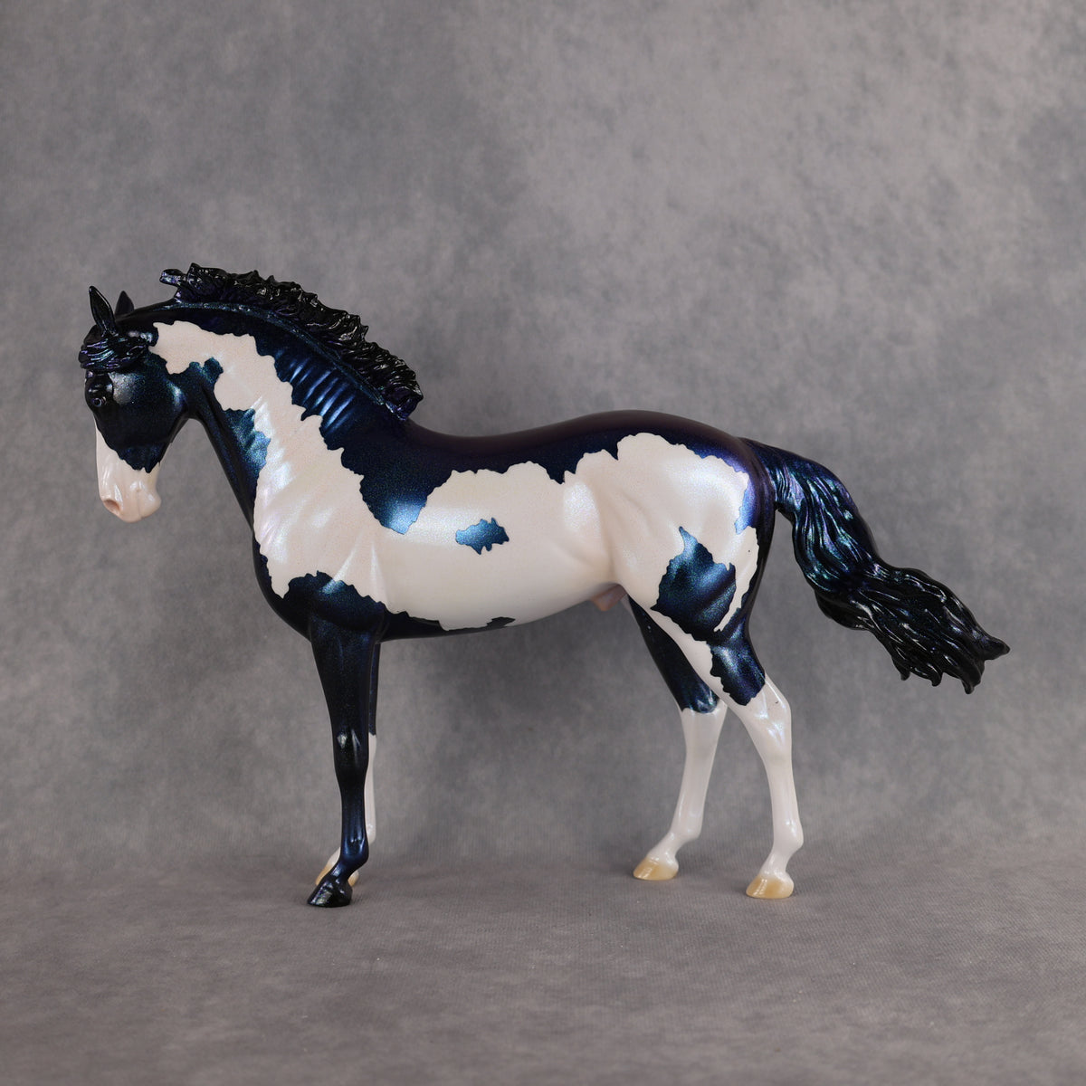 Guardian OOAK FCM Andalusian by Erin & Rori AH26