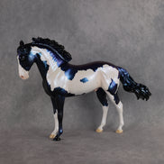 Guardian OOAK FCM Andalusian by Erin & Rori AH26
