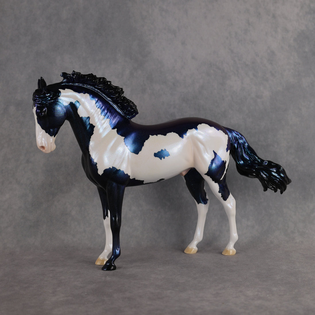 Guardian OOAK FCM Andalusian by Erin & Rori AH26