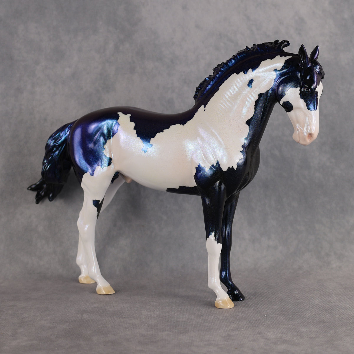 Guardian OOAK FCM Andalusian by Erin & Rori AH26