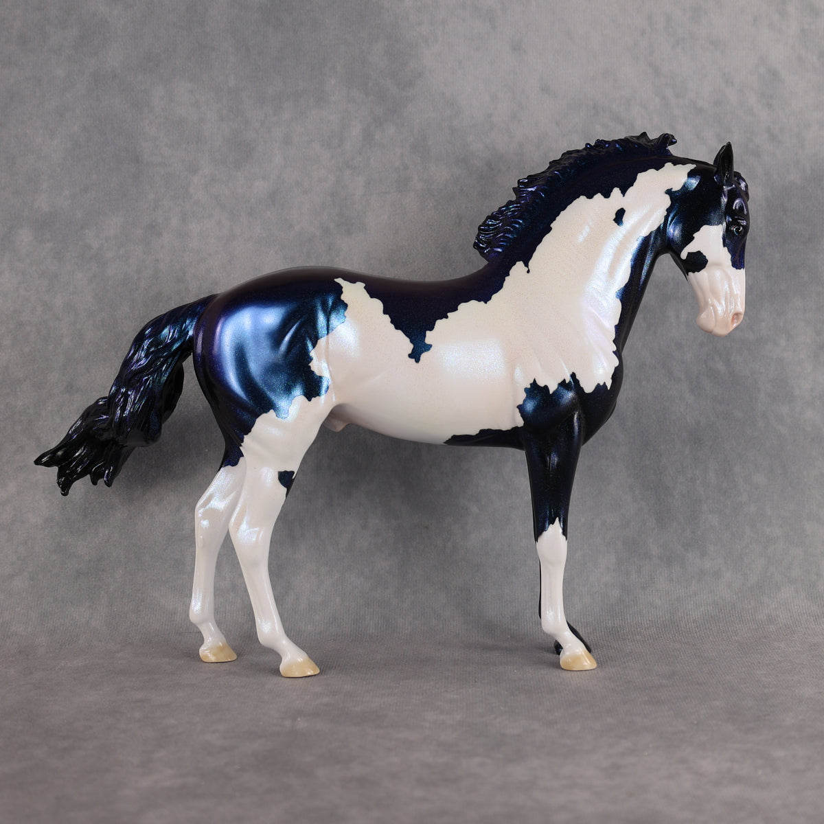 Guardian OOAK FCM Andalusian by Erin & Rori AH26