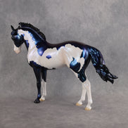 Guardian OOAK FCM Andalusian by Erin & Rori AH26