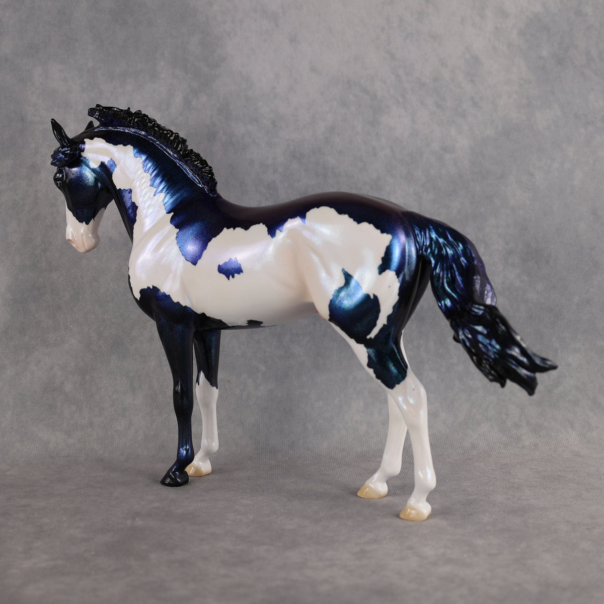Guardian OOAK FCM Andalusian by Erin & Rori AH26