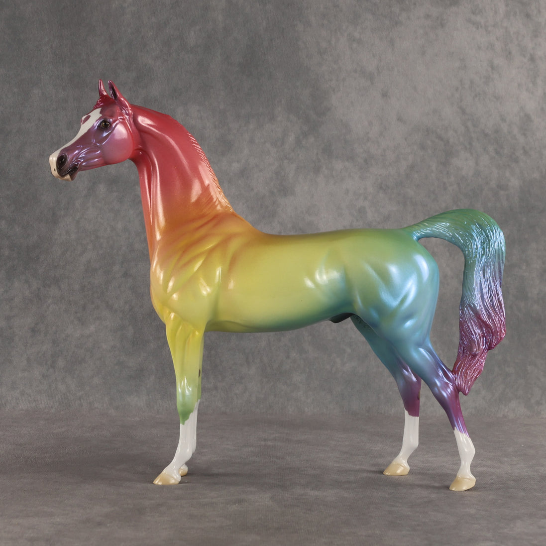 Angle of Refraction OOAK Arabian Stallion by Ellen Robbins SHCF26