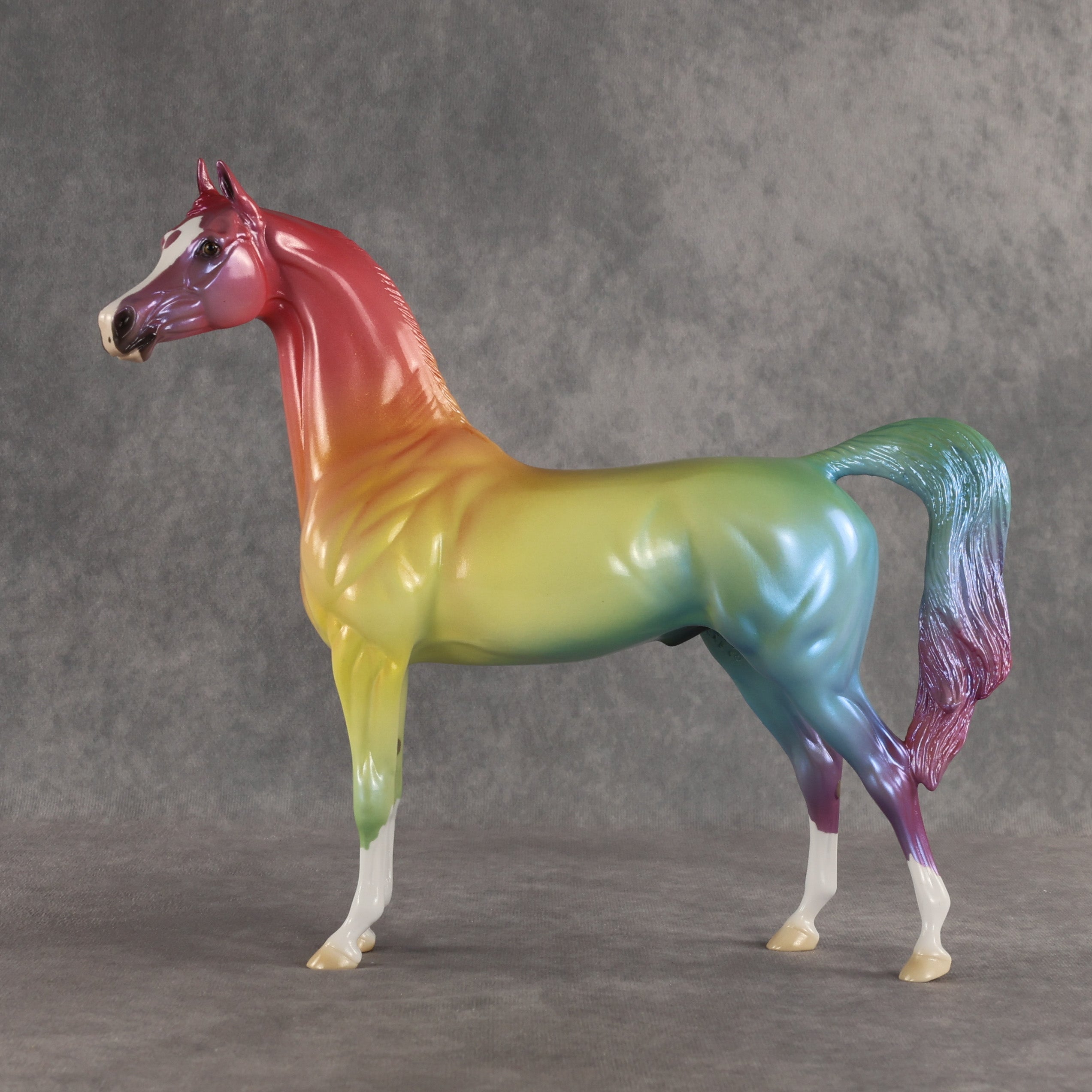 Angle of Refraction OOAK Arabian Stallion by Ellen Robbins SHCF26