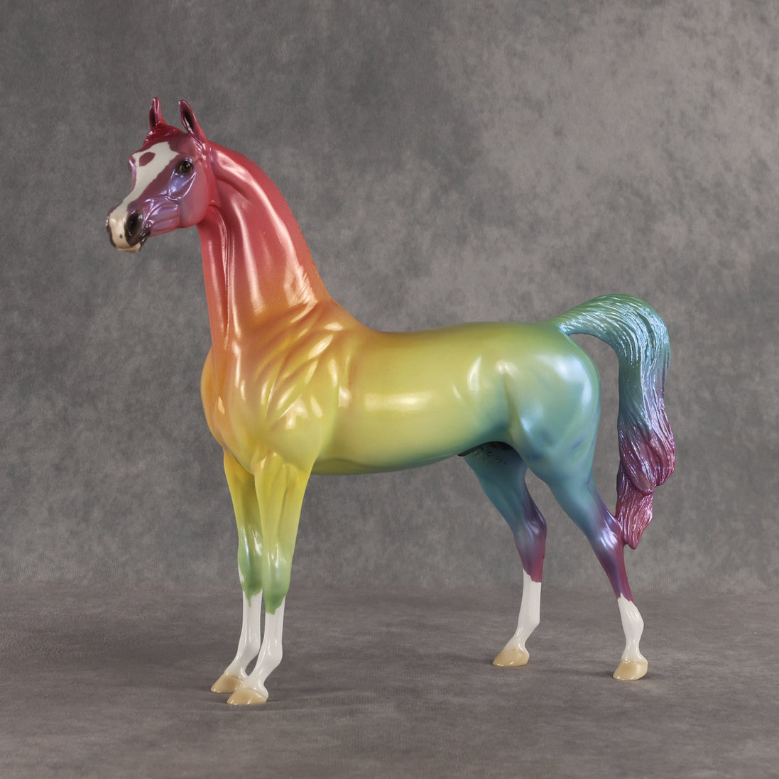 Angle of Refraction OOAK Arabian Stallion by Ellen Robbins SHCF26