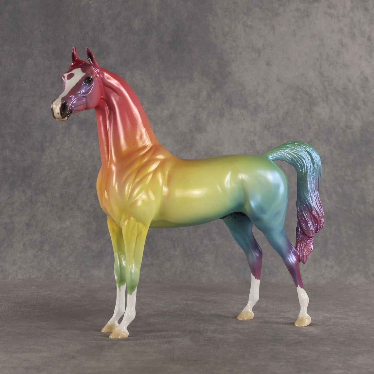 Angle of Refraction OOAK Arabian Stallion by Ellen Robbins SHCF26