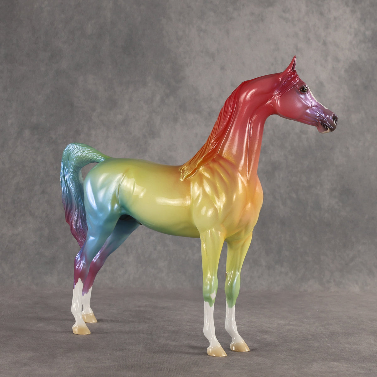 Angle of Refraction OOAK Arabian Stallion by Ellen Robbins SHCF26