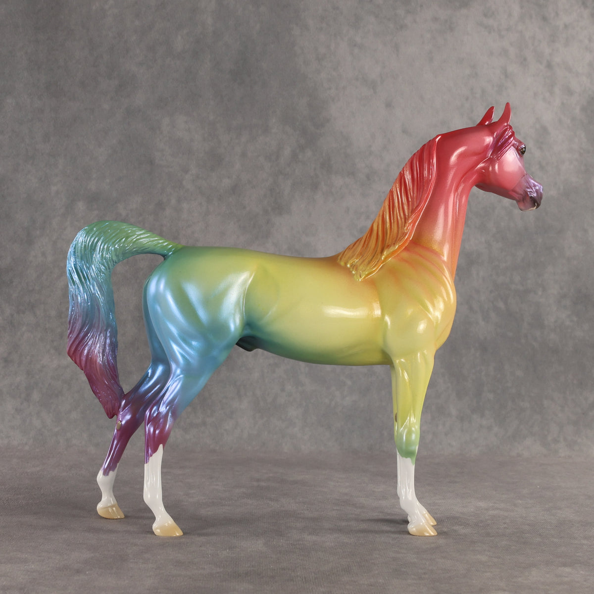 Angle of Refraction OOAK Arabian Stallion by Ellen Robbins SHCF26