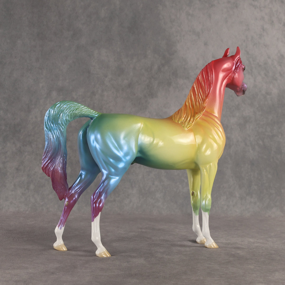 Angle of Refraction OOAK Arabian Stallion by Ellen Robbins SHCF26