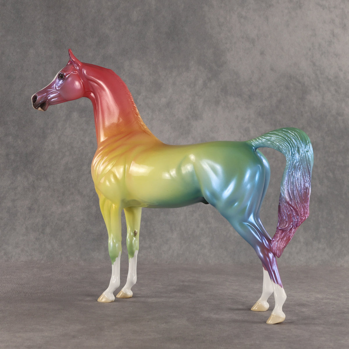 Angle of Refraction OOAK Arabian Stallion by Ellen Robbins SHCF26