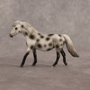 Anne OOAK Chip Pony by Madi Wiseman EQ26