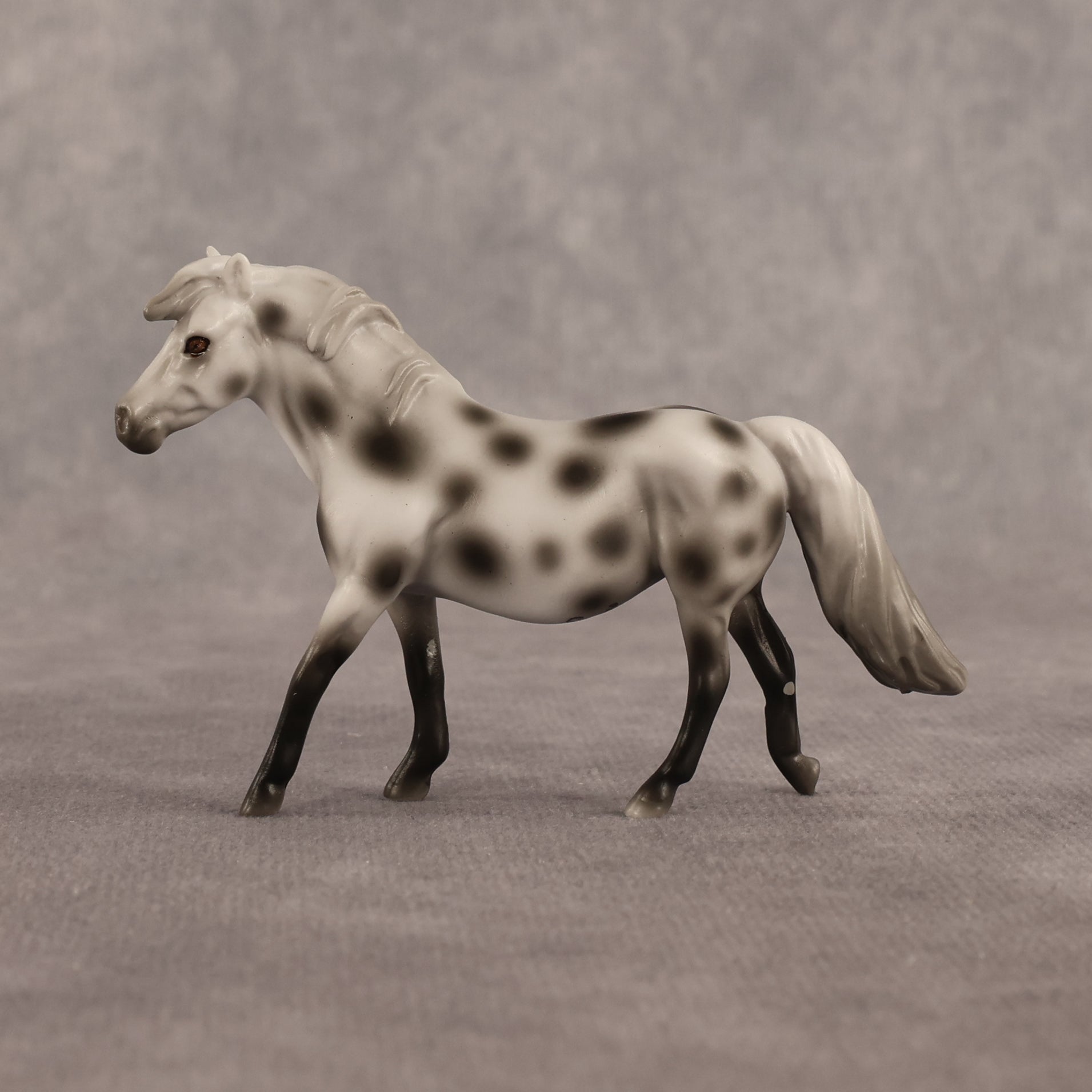 Anne OOAK Chip Pony by Madi Wiseman EQ26