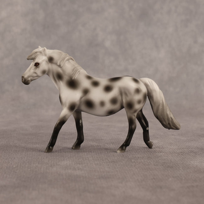 Anne OOAK Chip Pony by Madi Wiseman EQ26