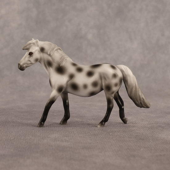 Anne OOAK Chip Pony by Madi Wiseman EQ26