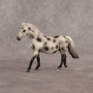 Anne OOAK Chip Pony by Madi Wiseman EQ26