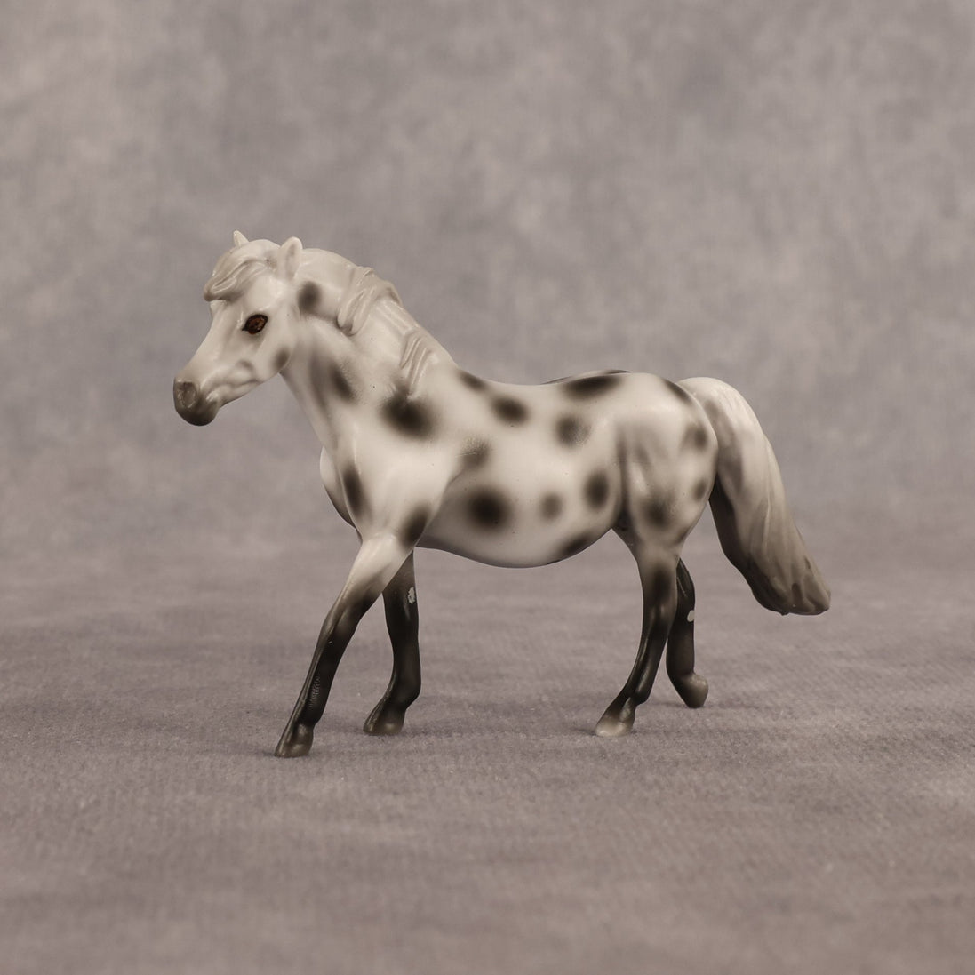 Anne OOAK Chip Pony by Madi Wiseman EQ26