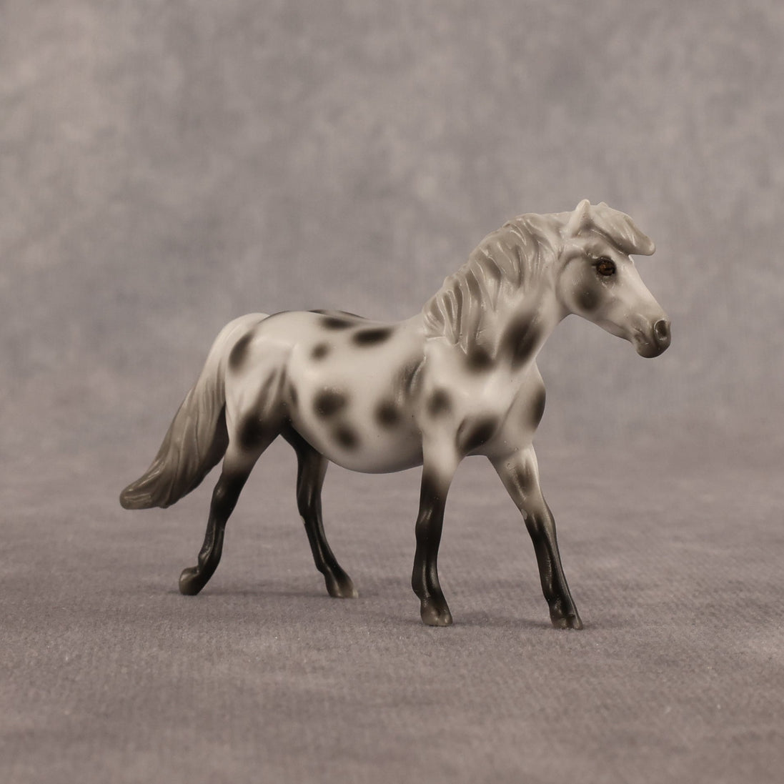 Anne OOAK Chip Pony by Madi Wiseman EQ26