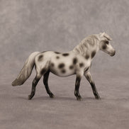 Anne OOAK Chip Pony by Madi Wiseman EQ26