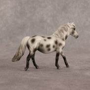 Anne OOAK Chip Pony by Madi Wiseman EQ26