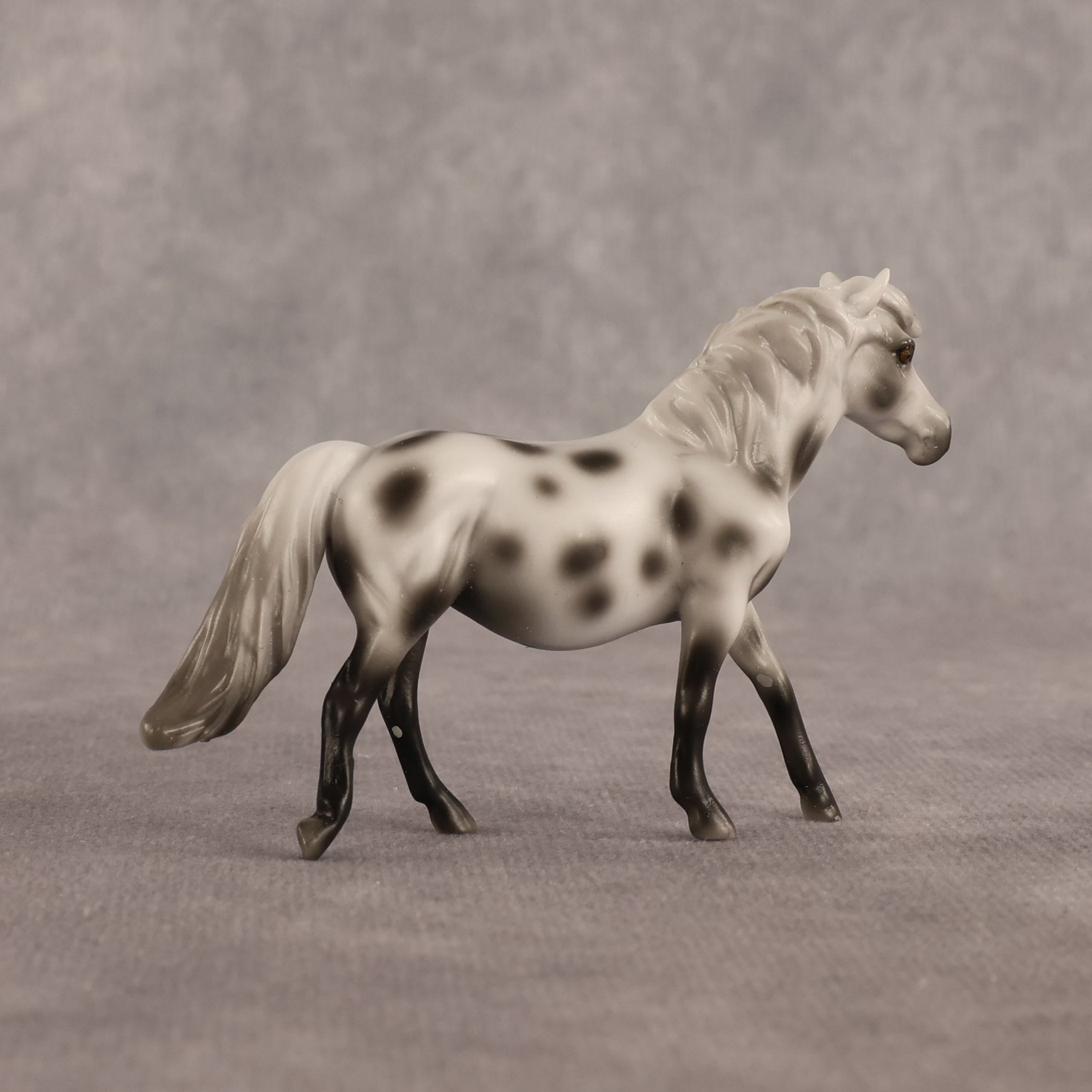 Anne OOAK Chip Pony by Madi Wiseman EQ26