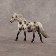 Anne OOAK Chip Pony by Madi Wiseman EQ26