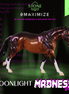 @MAXIMIZE LE-25 FCM Remington by Ellen Robbins MM25