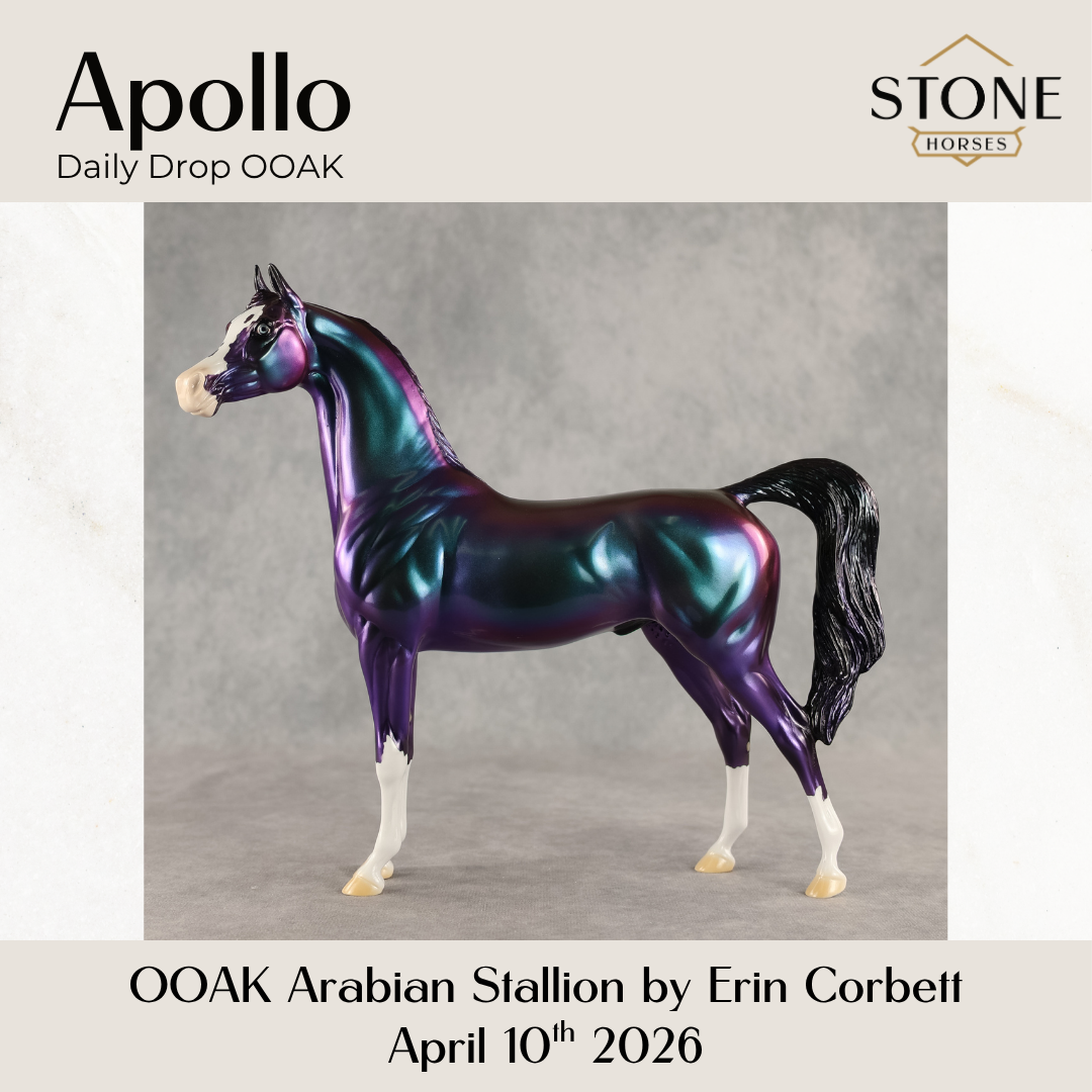Apollo OOAK Arabian Stallion by Erin Corbett DDOOAKs26