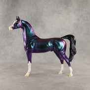 Apollo OOAK Arabian Stallion by Erin Corbett DDOOAKs26