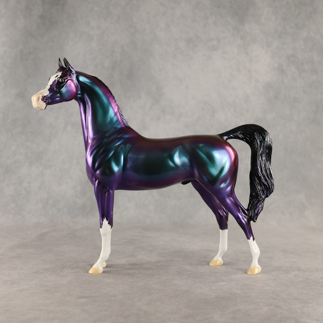 Apollo OOAK Arabian Stallion by Erin Corbett DDOOAKs26