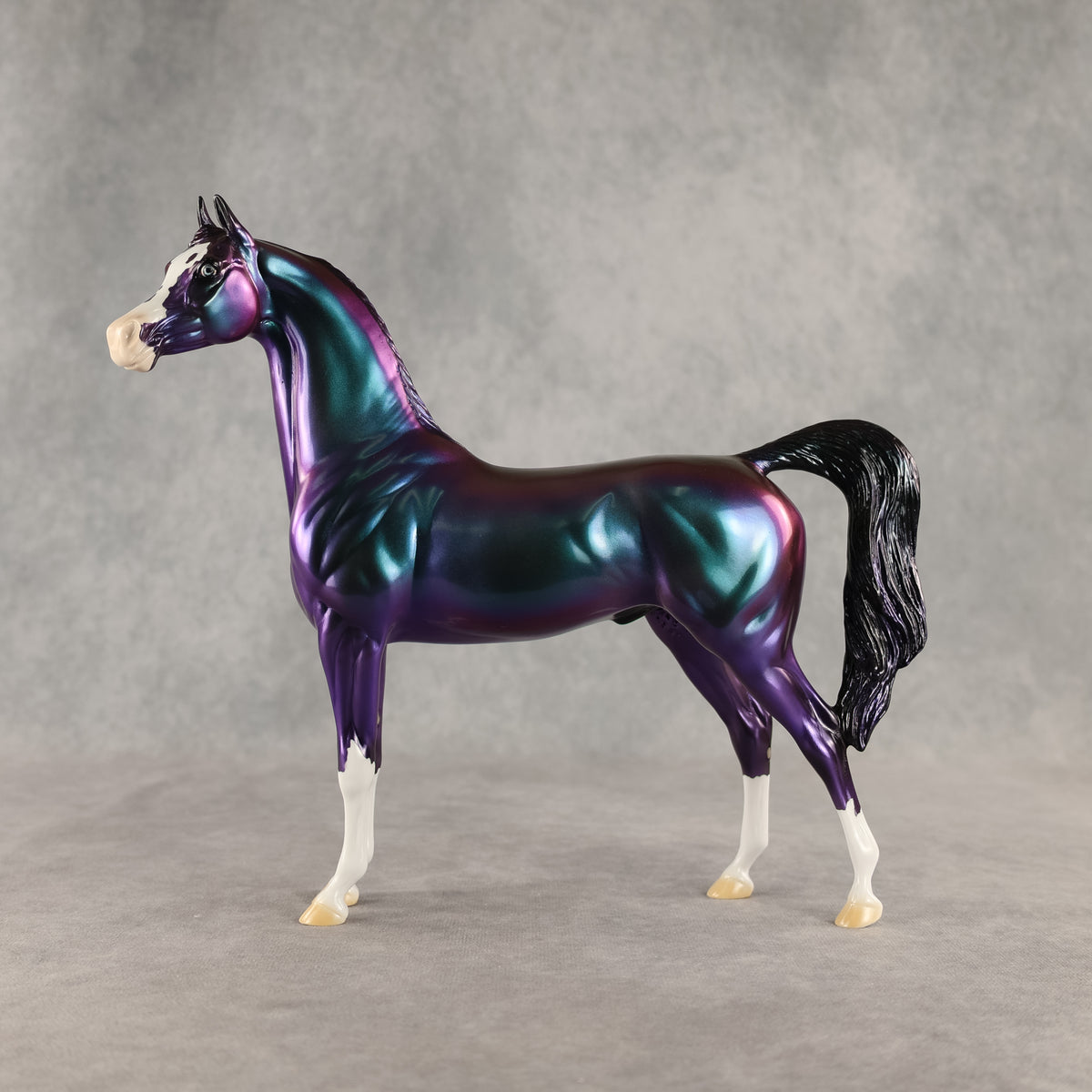 Apollo OOAK Arabian Stallion by Erin Corbett DDOOAKs26