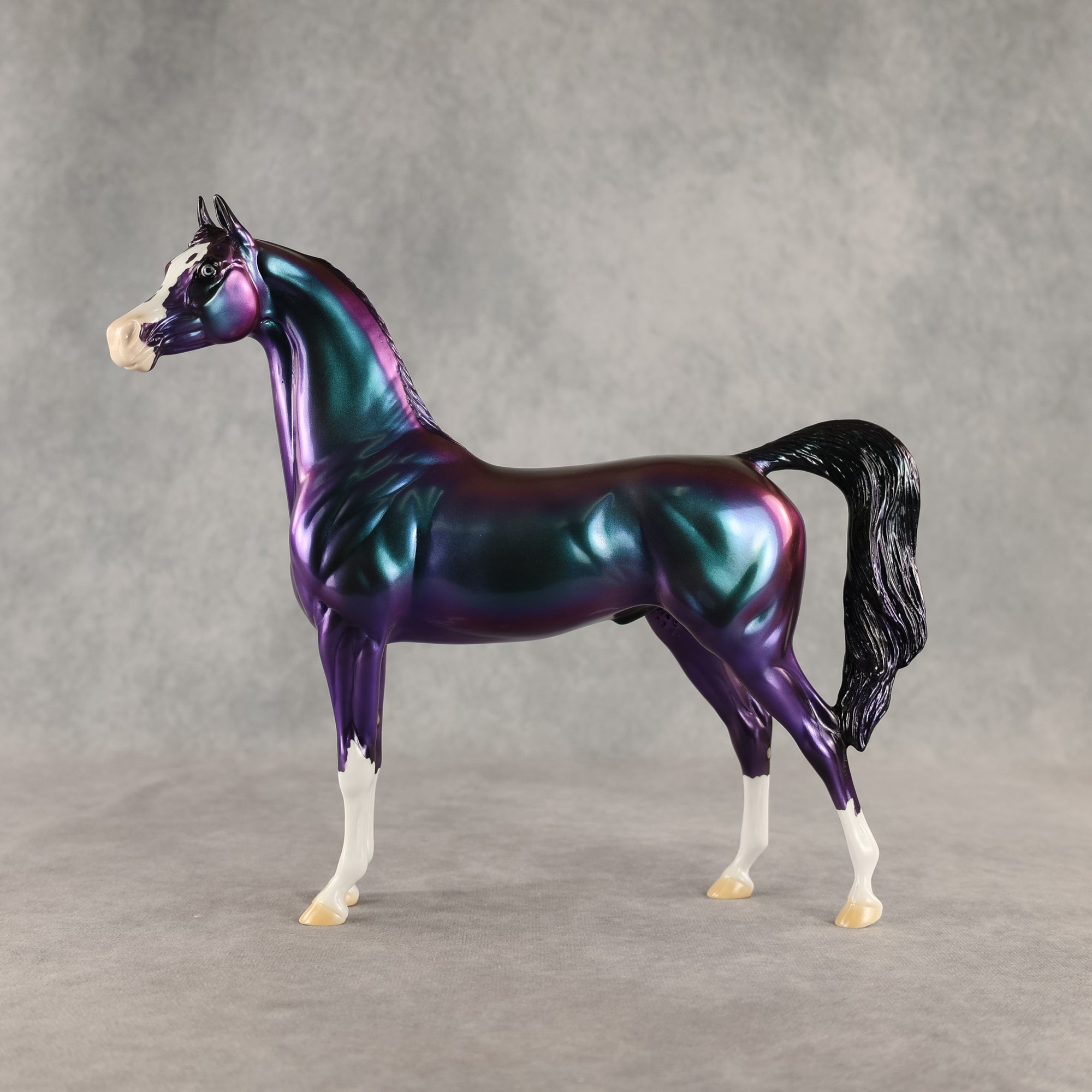 Apollo OOAK Arabian Stallion by Erin Corbett DDOOAKs26