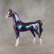 Apollo OOAK Arabian Stallion by Erin Corbett DDOOAKs26