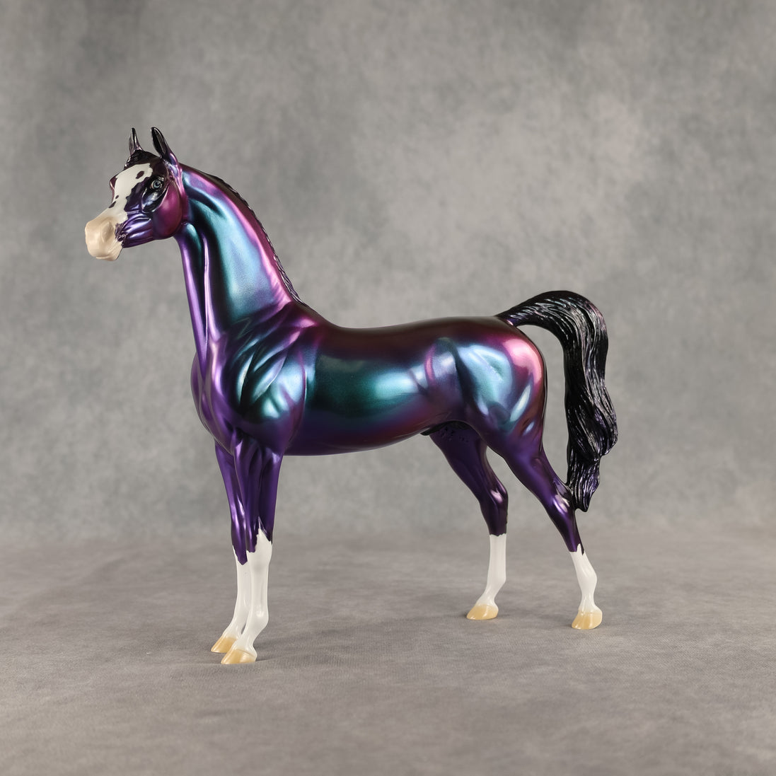 Apollo OOAK Arabian Stallion by Erin Corbett DDOOAKs26