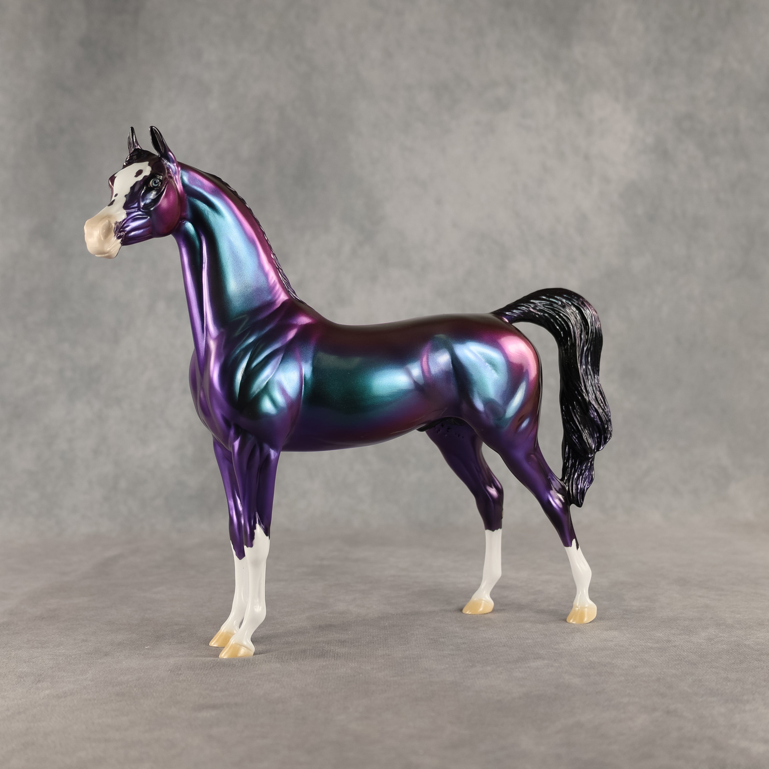 Apollo OOAK Arabian Stallion by Erin Corbett DDOOAKs26